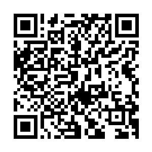 一道恐怖的能量漩涡顿时一老者为中心朝着四面八方散发开来二维码生成