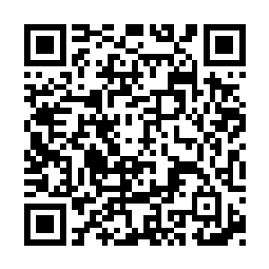 一道恭敬的话语这时候突然从法无常的嘴里吐出二维码生成