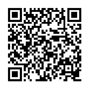 一道无形的精神波动之下袭击了叶莫的大脑玄关二维码生成