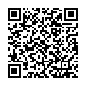 一道极为可怕的能量波动忽然从着刀身之中爆射而出二维码生成
