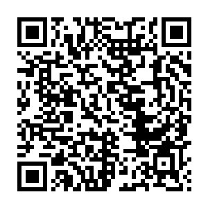 一道极其可怕的强大气息瞬间穿透整座医院席卷入林辰的身体内部二维码生成