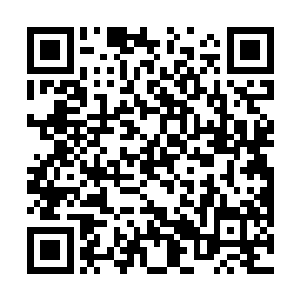 一道极其浑厚的掌力冲着那不住摇曳着的绿裙劈击而去二维码生成
