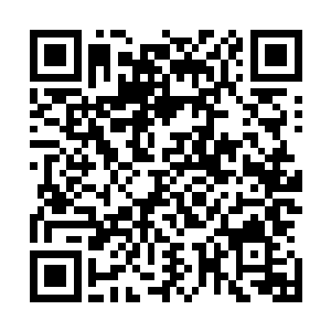 一道水元素之力瞬间从十五小姐的肚子之上入侵到她的体内二维码生成