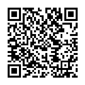 一道水桶粗大的九霄神雷毫无征兆地轰击在一条巨蟒的头上二维码生成
