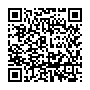 一道淡淡的紫色的光晕也是出现在了内天地的边缘二维码生成