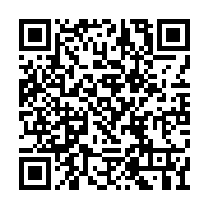 一道灵界就和好几个女孩有暧昧关系……说实力二维码生成