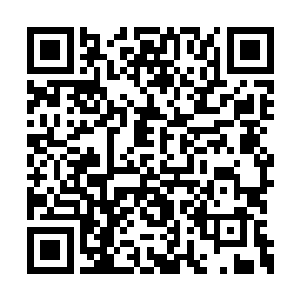 一道狂暴的剑气顿时压向了郑万还有华森两个人二维码生成