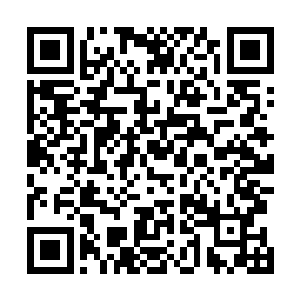 一道璀璨至极的白金色光柱也顿时从他掌心之中激射而出二维码生成
