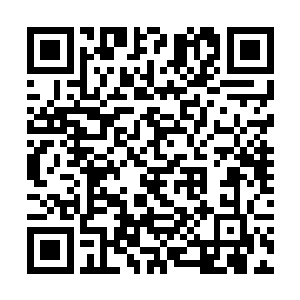 一道白色的身影就从下方最高的一座宫殿内飞射而出二维码生成