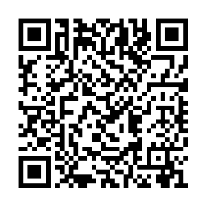 一道磅礴的天地灵气快速聚集在了百木鼎的上方二维码生成