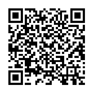 一道肉色的身影以鬼魅一般的身法追上了四散逃跑的年轻美女二维码生成