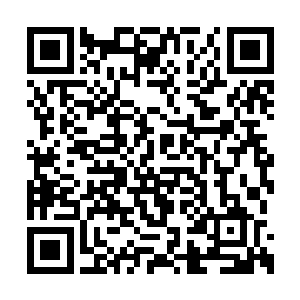 一道若有若无的气息忽然出现在了城主府的上空二维码生成