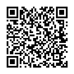 一道莫名的庞大吸力牵引着整个精血团缓缓向书面移去二维码生成