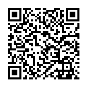一道蓝色战气形成的气刃如同凝结的深蓝色冰刀一般二维码生成