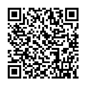 一道蕴含怒火的低沉声这时在小家伙的身后发出二维码生成