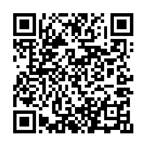 一道血箭顿时从巨兽眉心处的窟窿之中喷射而出二维码生成
