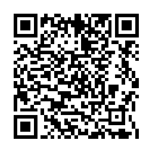 一道被枪口焰烧灼弄破的血口显的有些触目惊心二维码生成