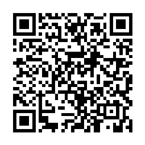 一道被雷电覆盖的血色刀光便从虎魄刀之中激射而出二维码生成