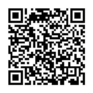 一道触发的阵法意识化作一道流光瞬间没入他的大脑二维码生成