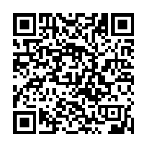一道让林尚现在一听就忍不住心惊胆跳的声音响了起来二维码生成