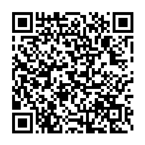 一道足有半丈粗细的雷霆如银色巨蟒一般向那绿衣女子无情的扑了下來二维码生成