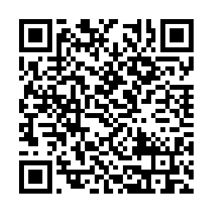 一道足有百丈的虚影似从遥远的天地之间跨越而来二维码生成