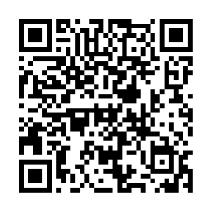 一道身穿白色长袍的青年目光冷冽的俯视脚下郡城二维码生成