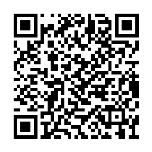 一道道伟岸的身影从闭关的府或是宫殿疾驰而出二维码生成
