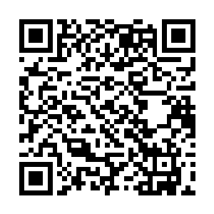 一道道天道符箓顺着妖主的手向着他的手臂蔓延而去二维码生成