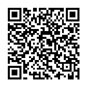 一道道强悍的能量余波如同风暴一般朝四周狂扫而去二维码生成