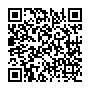 一道道戏谑嘲讽的目光来回地在龙羽的身上扫荡着二维码生成