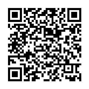 一道道散发着强大气息的身影从各自闭关之地走出二维码生成