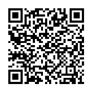 一道道无形剑气笼罩从落日禁地出来的每一个人二维码生成