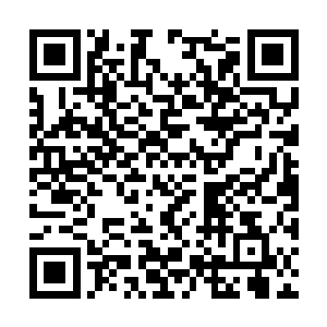 一道道更为玄妙的手势也从杨戬的手中飞快的打出二维码生成