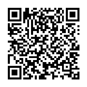 一道道法则的气息也是从龙傲天的拳头上朝着四面八方蔓延二维码生成