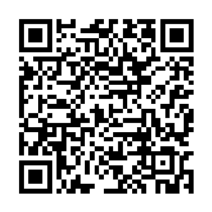 一道道清灵的淡绿色光芒也忽然虎魄刀上激荡而出二维码生成