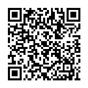 一道道的攻击开始不断的朝着几只妖攻击了过去二维码生成
