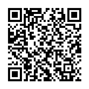 一道道繁奥的阵纹和符纹在他们各自的脑海中快速闪过二维码生成