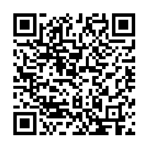 一道道血色的光芒也是不断的在血魂老祖的身上疯狂的弥漫二维码生成