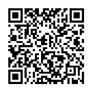 一道道诡异的空间波动顿时从隐天披风上面散发出来二维码生成