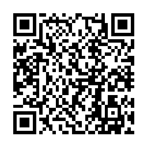 一道道身影直接被流墨墨用神识连带仙力卷了出来二维码生成