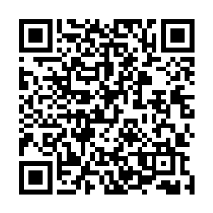 一道道金色光线也密密麻麻地桎梏在了那两条三头犬的身上二维码生成