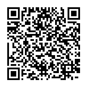 一道道风刃和冰枪源源不断地向着在空中盘旋的金色大鹏轰击而去二维码生成
