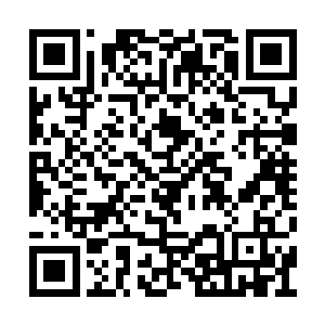 一道金光凝结而成的结界立刻将五人的身体笼罩二维码生成