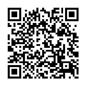 一道金色的龙形火焰一下子从他的身上升腾而起二维码生成