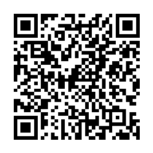 一道青白色的虚幻身影出现在六阎罗鱼分为两瓣的身体中间二维码生成