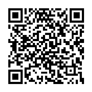 一部分人已经开始对人工智能生命有了警惕之心二维码生成