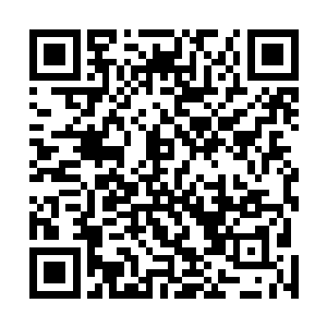 一部分人急急将周围的石头推到了纳兰夜所乘马车的周围二维码生成