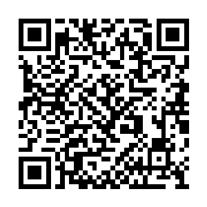 一部分人牵着三角马在离后山一段距离以外等着二维码生成