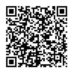 一部分投下的月光让凯撒看过来的两只眼睛在黑暗中反射出绿色的幽光二维码生成